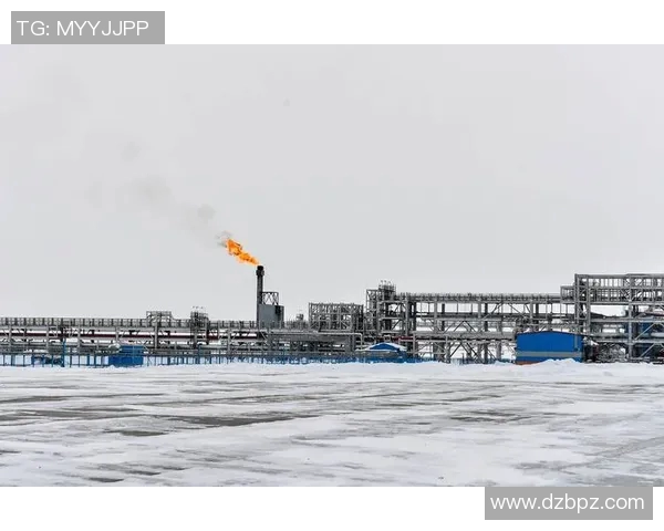 亚马尔地区的能源战略与全球气候变化的互动分析与展望